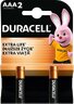 pile alcaline Duracell Basic MN2400 LR03 AAA (blister) - 2 pièces