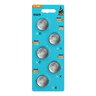 Vinnic CR2450 lithium battery - 5 pieces