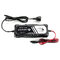 12V/24V everActive CBC-10 v2 Processor Charger
