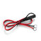 12V/24V everActive CBC-10 v2 Processor Charger