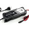 12V/24V everActive CBC-10 v2 Processor Charger