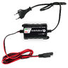 everActive CBC-1 v2 6V/12V Processor Charger