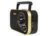 Analog Portable Radio Blow 77-542# 