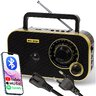 Analog Portable Radio Blow 77-542# 