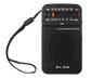 Portable analog radio Blow RA-20 77-560# Portable analog radio Blow RA-20 77-560#