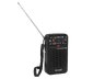 Portable analog radio Blow RA-20 77-560# Portable analog radio Blow RA-20 77-560#
