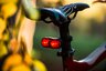 everActive FL-2000R Buddy Bike Kit + Bike Mount + Mactronic Wall-e Rear Light