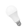 LED bulb 18W E27 warm globe Spectrum WOJ14248_A60