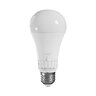 LED bulb E27 13W bulb 5in1 Spectrum WOJ14716