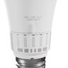 LED bulb E27 13W bulb 5in1 Spectrum WOJ14716